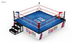 Professional Kick Boxing Ring, Mini, 4x4, bom preço, logotipo personalizado - Image 4