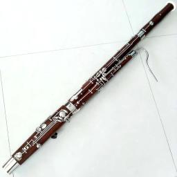 Instrumento profissional do estágio, fagote - Image 6
