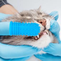 Silicone Dedo Toothbrush para Pet, Dog and Cat Toothbrush Kit, Pet Dentes Limpeza Suprimentos, 4 Pack - Image 5