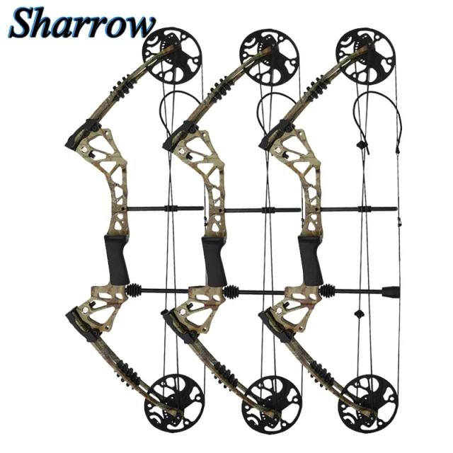 Kit de Arco e Flecha Ajustável para Adultos 15-70lbs em Fibra de Carbono - Ideal para Caça e Esportes ao Ar Livre