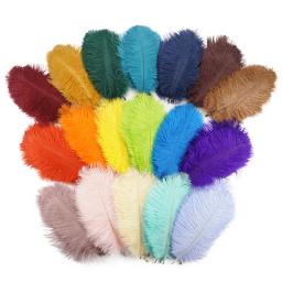 10 pçs colorido pena de avestruz artesanato acessórios apanhador de sonhos decoração jóias criação natural pluma mesa peças centrais - Image 1