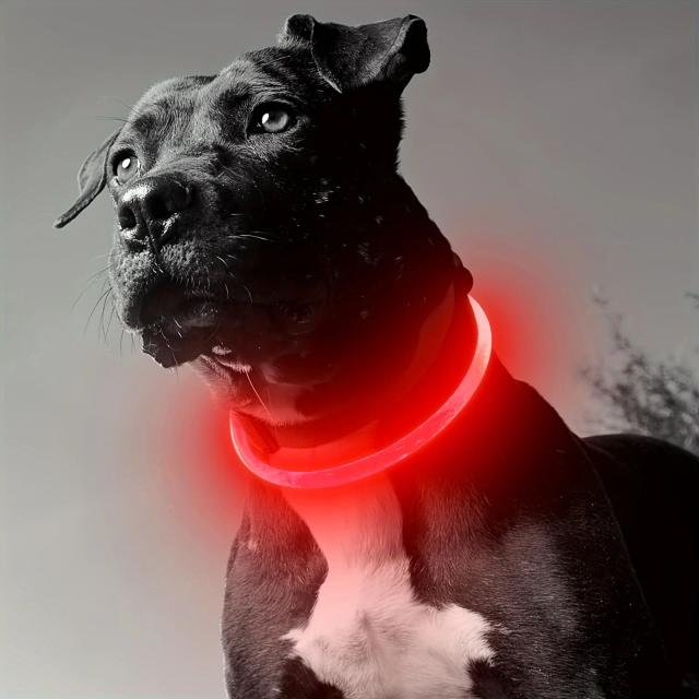 Coleira LED para Cães Anti-Perda Recarregável USB