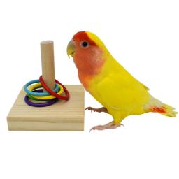 Pássaro brinquedos de treinamento conjunto de brinquedos de quebra-cabeça de bloco de madeira para papagaios coloridos anéis de plástico treinamento de inteligência mastigar brinquedo pássaro suprimentos - Image 5