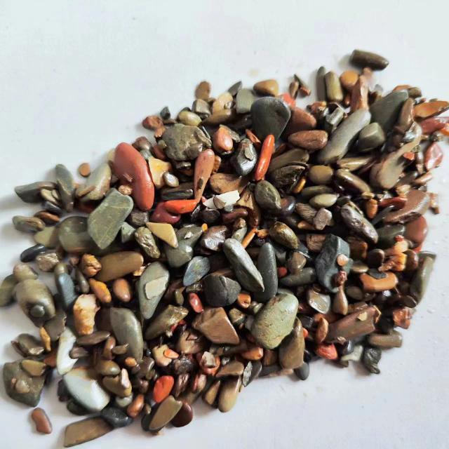 Substrato Natural para Aquários: Areia de Córrego e Pedras Decorativas para Jardinar seu Aquário