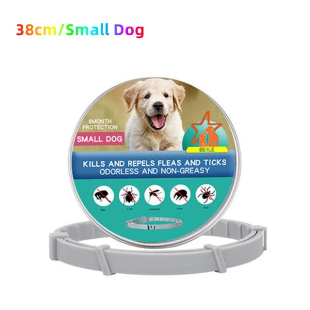 Colar Extensível Personalizado Anti-Pulgas e Carrapatos para Cães e Gatos de Todas as Tamanhos
