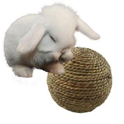 Brinquedo interativo para o animal de estimação pequeno, brinquedo do animal de estimação, hamster, cobaia, grama natural, 1pc - Image 1