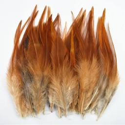 Penas De Faisão Coloridas Para Decoração Artesanato, Dream Catcher, Natural, Galo, Frango, Carnaval, Acessórios De Artesanato, 20Pcs por Lote - Image 6