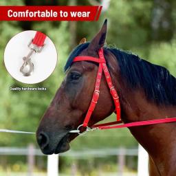 Freio de cavalo ajustável lanffle noseband náilon equino noseband rédeas macio forrado trilha equitação equitação equitação cavalo brida - Image 1