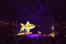 3D holográfica Mesh projeção tela, projeção cortina para casamento exposição, circo exibição - Image 2
