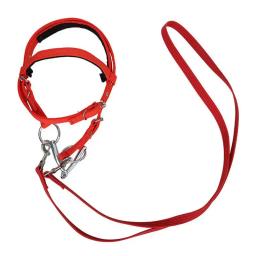 Equipamento de equitação durável cabeça de cavalo colar halter equitação brida pvc corrida de cavalos equipamento equestre cavilhas - Image 1