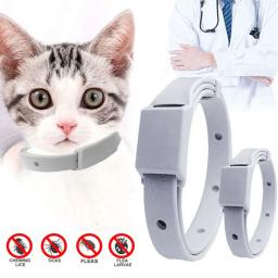 Anti Flea Tick Collar Para Cat Small Dog Antiparasitário 8 Mês Proteção Ajustável Puppy Kitten Collar Breakaway Pet Acessórios - Image 1