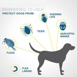 Coleira repelente de insetos, AntiparasContra pulgas e carraça, Produto para cão - Image 4