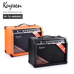 Amplificador De Guitarra Acústica, Instrumento De Música, OEM, China, Microfone 40W - Image 2
