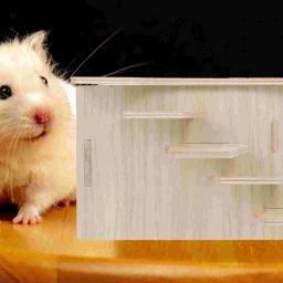 Multifuncional Hideout Wooden House, Brinquedos Multifuncionais Hamster, Casa de esconderijo para pequeno animal de estimação cobaia - Image 5