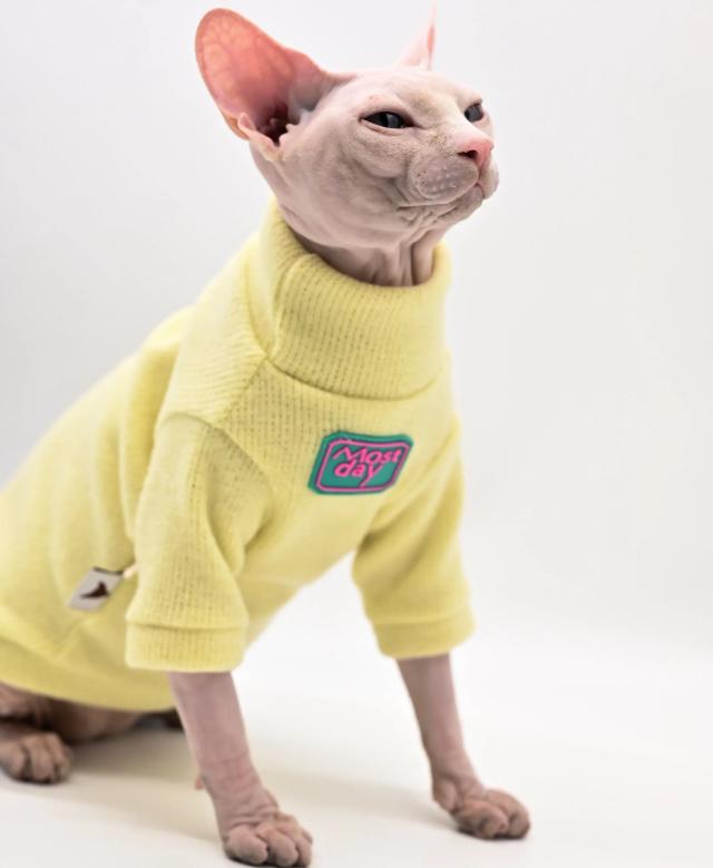 Colete Acolchoado Quente para Gatos Sphynx e Devon em Algodão - Roupas Confortáveis para Outono e Inverno
