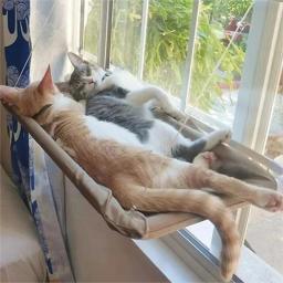Nova rede de sucção para gatos, suprimentos para animais de estimação, rede dobrável, pendurado, janela de cama de gato, acessórios para gatos, castelo - Image 2