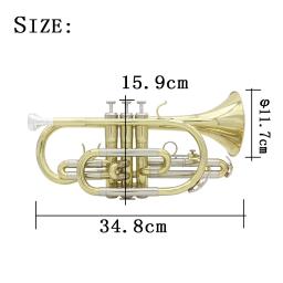 SLADE-Professional Bb Cornetaa Latão com Case Brush Peças, Instrumentos Musicais, Cupronickel, Trompeta, Cornette Desempenho - Image 5