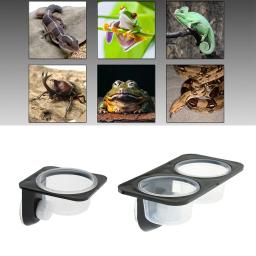 Ventosa Tigelas de alimentação para répteis e répteis, Recipiente de alimento com tigela para alimentação de água e comida, Lagartixa e lagarto - Image 2