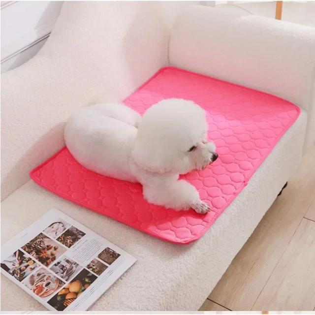 Cobre Fralda Absorvente Reutilizável para Cachorros - Almofada de Treinamento Lavável e Versátil para Cama e Assento de Carro