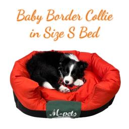 À prova d'água ortopédica Pet cama com travesseiro, tampa removível, não-Slip Bottom Border, cão cama, Pitbull, Hound, Collie Suprimentos - Image 5