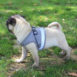 Peitoral Com Guia para Caes E Gatos Colete Regulavel Super Confortavel para Cachorro - Image 6