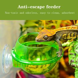 Répteis e Anfíbios Suprimentos de Alimentação, Anti-Escape Food Dish, Tigela com Ventosa, Worm Live Forragem Recipiente, Gaiola Acessórios - Image 1