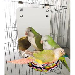 Pássaro Espelho com Poleiro Gaiola Swing Toy, Araras Finches, Pequeno Periquito, Corda Suporte para Papagaio, Pet Shop - Image 3