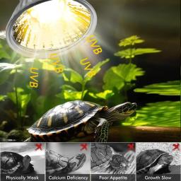 1/5 pçs 25/50/75w uva + uvb réptil lâmpada tartaruga basking uv lâmpadas luz de aquecimento crescimento animal de estimação luz de aquecimento para anfíbios - Image 2