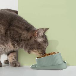 Aço inoxidável gato comida alimentação tigela pet suprimentos suporte de elevação proteger a coluna cervical alimentação tigela de água resistente a quedas - Image 2