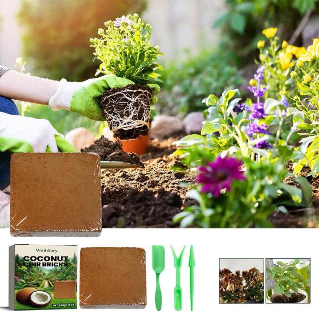 Fibra de Coco Natural para Réptiles - Ideal para Terrários de Lagartos e Tartarugas