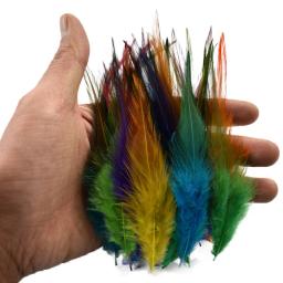 Penas De Faisão Coloridas Para Decoração Artesanato, Dream Catcher, Natural, Galo, Frango, Carnaval, Acessórios De Artesanato, 20Pcs por Lote - Image 4