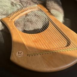 Portátil Profissional Lira Harpa, 22 Cordas, Luxo Rosewood, Escala Diatônica, Performance Musical, Instrumentos de Cordas Raras - Image 4
