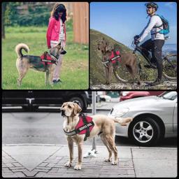 Arnês de estimação personalizado, sem puxar, reflexivo, respirável, colete para cães pequenos e grandes, caminhada ao ar livre, acessórios de treinamento - Image 4