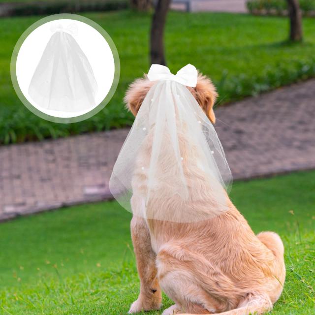 Véu e arco para cachorro: o vestido de noiva perfeito com decoração encantadora