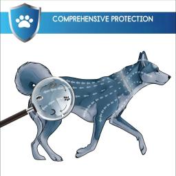 Coleira VIP para cães pequenos e gatos, coleira de cachorro, acessórios para animais, 68cm 37cm - Image 4