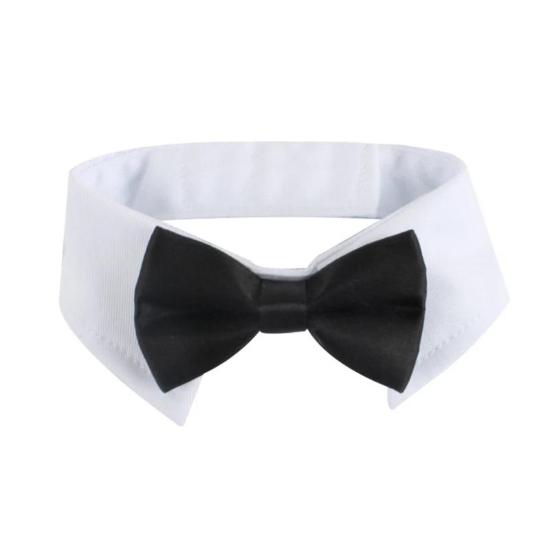 Nova coleira gravata cachorro para gato gravata borboleta formal para cães smoking gatos roupas smoking - Image 1