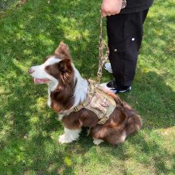 Arnês tático para cães grandes, Arnês de estimação ajustável, Treinamento reflexivo, Controle fácil, Colete do serviço militar - Image 2