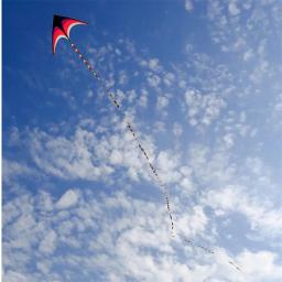 Large Kite Cauda Acessórios, Professional Wind Flying String, 3D, 30m, 15m, 10m, Frete Grátis - Image 5