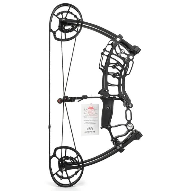 Arco Composto de 30-70 lbs com Acessórios para Pesca e Caça: Flechas de Duplo Uso a 420 FPS com Bola de Aço
