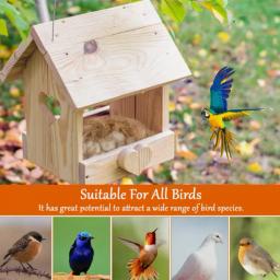 Material do ninho misto macio e flexível, Acessórios para pássaros e animais selvagens, Colibri, Novo material prático - Image 4