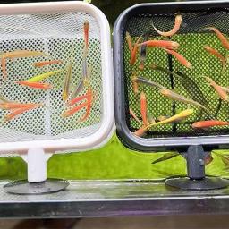 Aquarium Square Fishing Net com ventosa Cabo longo extensível, Equipamento de pesca para pegar peixes, tanque de camarão, suprimentos limpos - Image 2