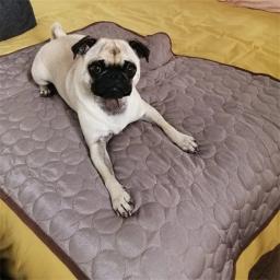 Esteira de resfriamento para cães e gatos Almofada de verão lavável Colchão de gel de gelo Cobertor de almofada para cachorros - Image 6