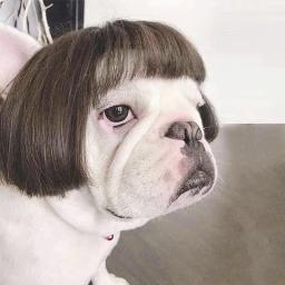 Trajes de chapéu de cabelo, perucas de estimação, adereços cosplay, acessórios de cabeça para o Halloween, Natal, animais de estimação, engraçado, cães, gatos - Image 5