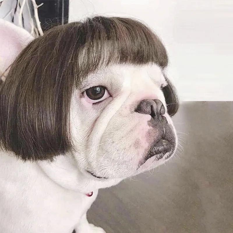 Trajes de chapéu de cabelo, perucas de estimação, adereços cosplay, acessórios de cabeça para o Halloween, Natal, animais de estimação, engraçado, cães, gatos - Image 1