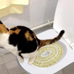 Reutilizável Indoor Potty para Gatos, Indoor Pet Kit Suprimentos de Lixo de Toalete, Sistema de Treinamento de Gato Profissional - Image 4