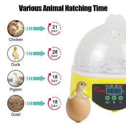 Incubadora automática inteligente de temperatura constante de 7 peças de tamanho pequeno para incubar galinhas, patos e codorniz. - Image 2
