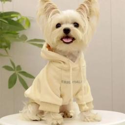 Hoodies forrado com lã, moletom de cachorro, suéter quente macio, roupas para cães pequenos, poodle maltês, designer, carta - Image 1