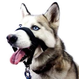 Ajustável Anti-morder Pet Focinho, Focinho Do Cão, Nariz Máscara De Cabelo, Conjunto De Tração, Cinto De Treinamento - Image 1