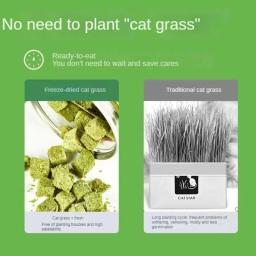 Cat Grass Freeze Dried Pellets, Semeado e Nu, com Depilação Bolas, Instant Cat Snacks - Image 3