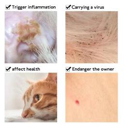 Coleira repelente de pulgas para cães e gatos, coleira para animais de estimação, tamanhos p/m, desembaraçamento - Image 3